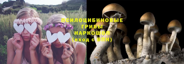 МДПВ Алексеевка