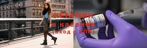 крисы Алзамай