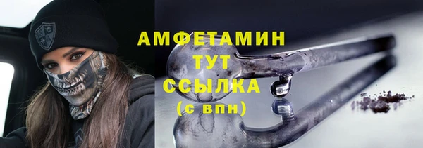 крисы Алзамай