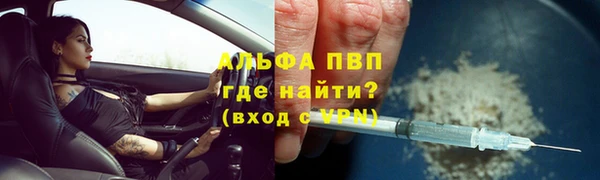 крисы Алзамай