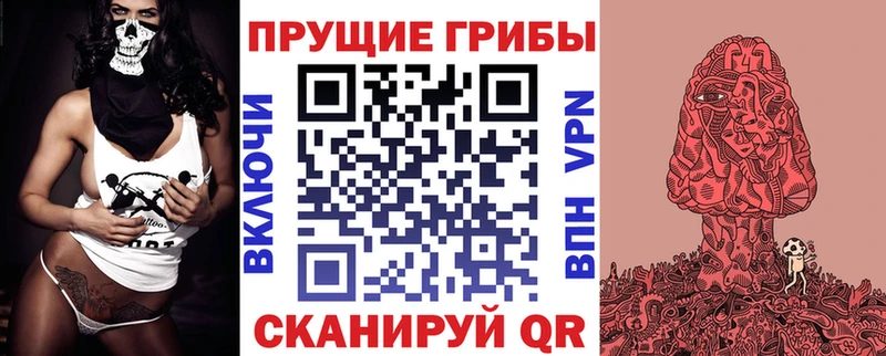 ОМГ ОМГ tor  Енисейск  Галлюциногенные грибы GOLDEN TEACHER 